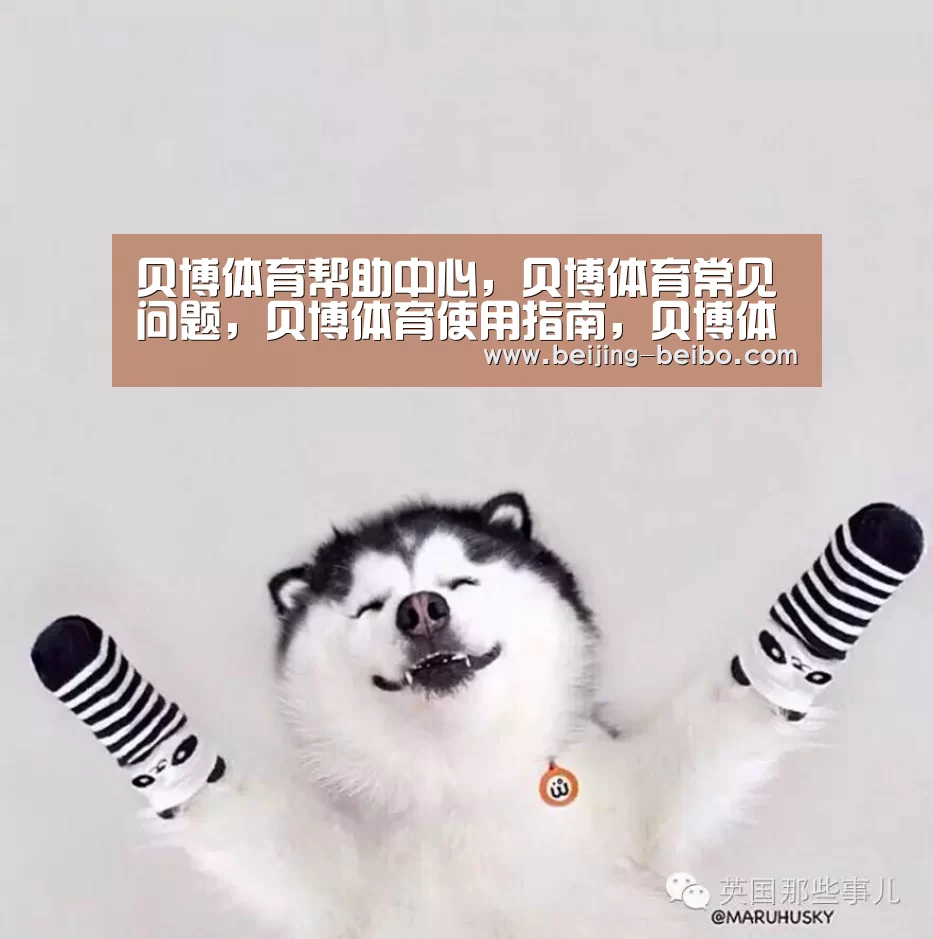 贝博体育帮助中心,贝博体育常见问题,贝博体育使用指南,贝博体育客服,贝博体育教程